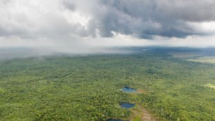 Green groups band together to buy Belize rainforest and help secure its future