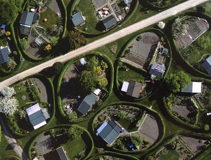 In 1948, 40 oval allotment gardens, each measuring approximately 25 × 15 m, were laid out on a rolling lawn, between public housing on one side and more traditional allotments on the other.