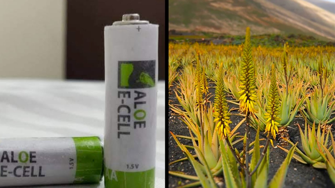 The world’s first 100% eco-friendly battery is made from a plant!