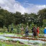 Here&#8217;s how nature helps this Dutch regenerative farm grow food